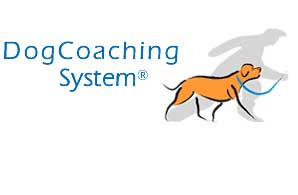 dog coaching system